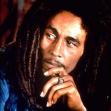 bob
